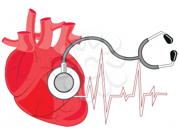 Vector illustration heart person and instrument stethoscope