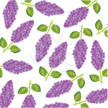 Vector illustration of the decorative pattern of the branch lilac with flower