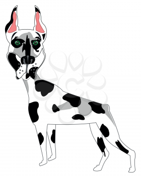Vector illustration of the cartoon of the dog spotted doberman