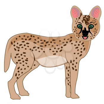 Vector illustration of the cartoon of the wild african cat serval