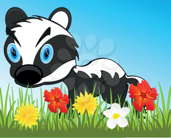 Vector illustration of the wildlife badger on meadow with flower