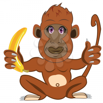 Cartoon animal ape with banana on white background is insulated