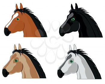 Vector illustration of the head of the horses black,sulphur and white colour