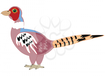 Vector illustration of the cartoon of the bird pheasant