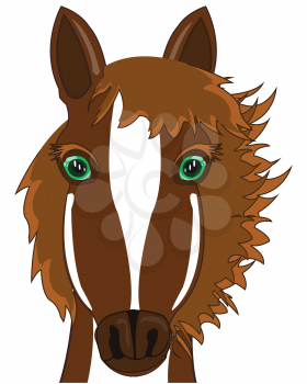 Vector illustration of the cartoon pets sulfuric horse mug