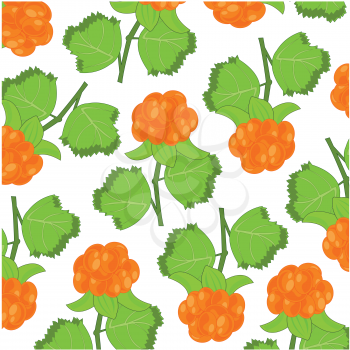 Vector illustration of the decorative pattern of the ripe berry cloudberry
