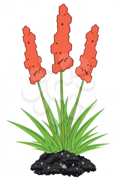 Vector illustration of the decorative plant with flower