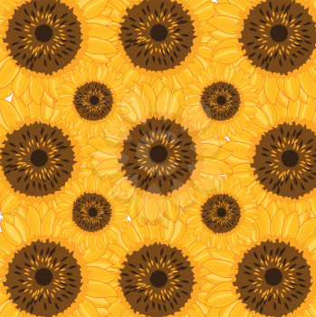 Vector illustration of the decorative pattern from flower of the sunflower