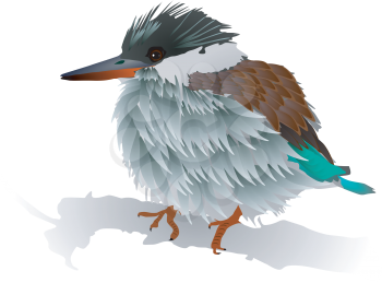 Vector image of a small bird