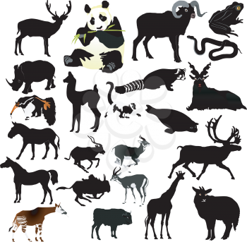 collection of vector animals 