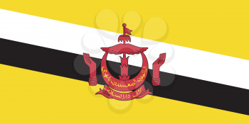Vector illustration of the flag of Brunei 