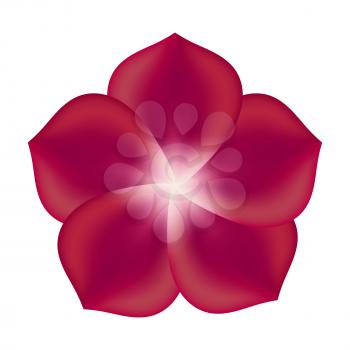 Red Flower, Isolated On White Background. Vector Illustration