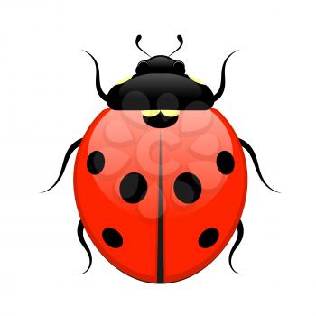 Ladybug isolated on white background. Vector illustration. 