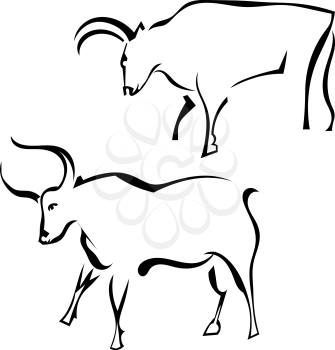 Two bull in profile in a pasture. Vector illustration.