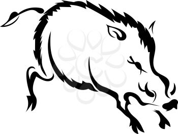 Silhouette wild boar on white background. Isolate. Vector illustration