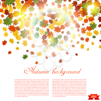 Autumn background and sunlight. Illustration of falling red, yellow and green maple leaves. 
Image season. Maple leaves on a white background. Autumn weather. Stock vector 
illustration