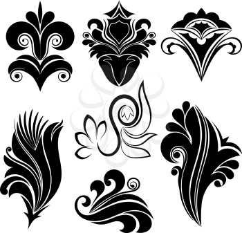 Vector illustration set of abstract black swirl floral design on a white background