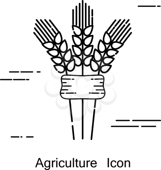 Spikelets symbol of agriculture in a linear style. Line icon isolated on white background. Vector illustration.