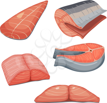 Color illustration of a collection of pieces of fresh salmon meat on a white background. Vector illustration of a set of pieces of red fish, salmon, steelhead
