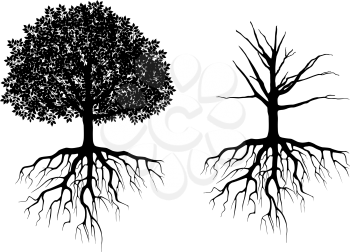 Tree with roots isolated on white. Vector illustration