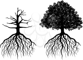 Tree with roots isolated on white. Vector illustration
