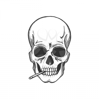 Skull smoking sketch for death danger symbol and tobacco addiction themes design. Head bone of human skeleton with cigarette for warning sign or tattoo design