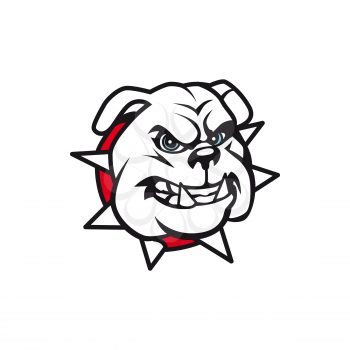 Angry bulldog in red spiked collar isolated monochrome icon. Vector fierce dog animal head portrait, home guard, english bulldog. Aggressive pet, pedigree dog breed, american bully face with teeth