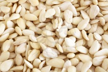 Royalty Free Photo of Peeled Almonds