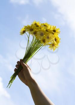 Royalty Free Photo of a Woman's Hand Holding Daisies in the air