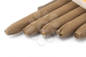 Cuban cigarettes isolated on white