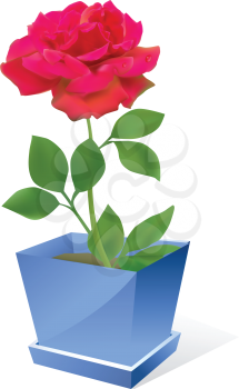 Royalty Free Clipart Image of a Red Rose in a Blue Pot