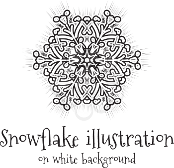 Snowflake vector icon islolated on white background