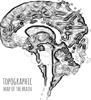 The brain in the form of a topographic map. The concept of modern technology, data transfer between neurons. Vector illustration