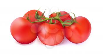 Set of red tomatoes on a white background. Vector realistic illustration