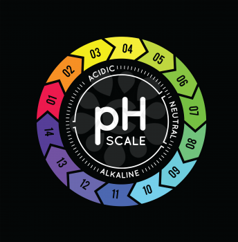 pH meter for measuring acid alkaline balance. infographics in the circle form with pH scale on black background