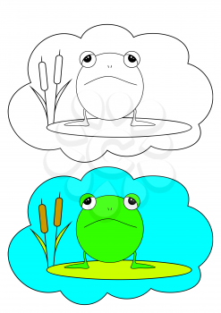 The picture for coloring. Frog.