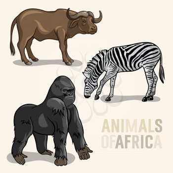 Vector set of African Animals. Gorilla, buffalo and zebra