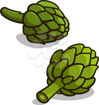 Vector illustration of green artichokes isolated on white