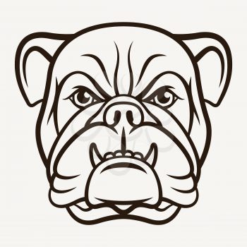 Head of an angry bulldog. This vector illustration can be used as a print on T-shirts, tattoo element or other uses