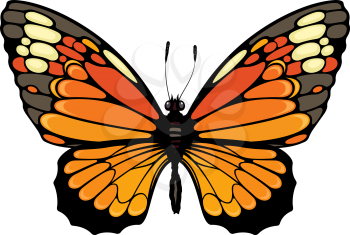 Realistic vector illustration of a butterfly