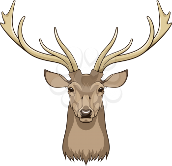 Head of deer isolated on white. This vector illustration can be used as a print on T-shirts or other uses