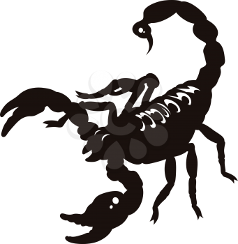 Silhouette of scorpion isolated on white. Vector illustration. Black and white