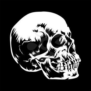 Hand drawn vector illustration of a Human Skull in black and white colors