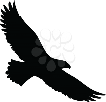 Bald Eagle silhouette isolated on white. This vector illustration can be used as a print on t-shirts, tattoo element or other uses