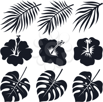 Tropical leaves and flowers. Monstera, hibiscus, coconut palm. Vector silhouettes