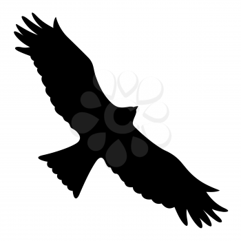 Silhouette of a flying eagle. Vector illustration
