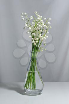 Lily of the valley flowers in a transparent vase.