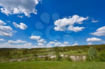 Beautiful landscape, a hill with pine trees and a blue sky with clouds.