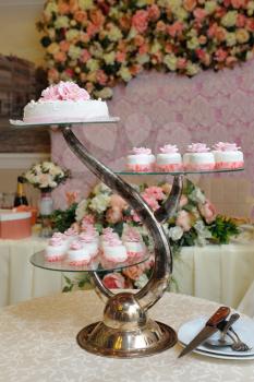 Wedding cake and cupcakes on a beautiful stand on the table.