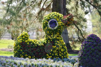 Large statue of a duck made of flowers in the spring garden. Germany